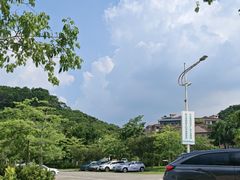-大屏嶂森林公园