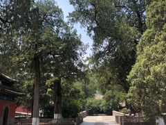 -北京鹫峰国家森林公园