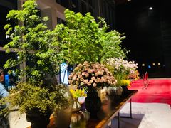 -君悦酒店·大堂酒吧·高空下午茶·暮色微醺
