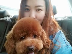 -沐沐家宠物(成寿寺店)