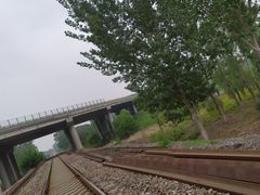 -东郊湿地公园