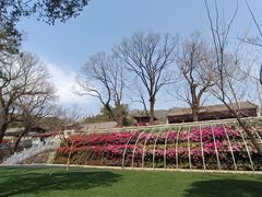 -红螺寺