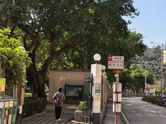 -石排湾郊野公园