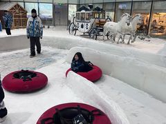 -世界之窗阿尔卑斯冰雪世界