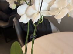 -蘇锦宴·淮扬菜烤鸭·小院(三元桥霄云路店)