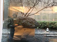 -杭州君悦酒店