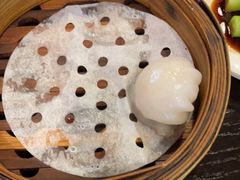 添运来虾饺皇-添运来(茶园奥园广场店)