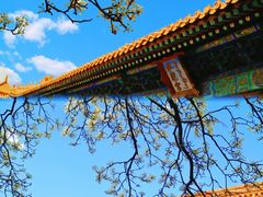 -故宫博物院(故宫)