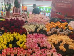 -越秀西湖花市(广州城市广场花卉店)