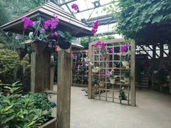 -南山植物园