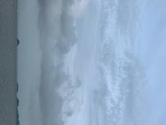 -野狸岛