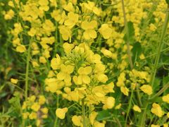 -中国天府农业博览园