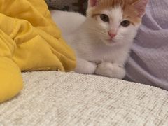 -嘉馨宠物医院·CT影像转诊·心脏科·犬猫全科诊疗中心(下沙大学城院区)