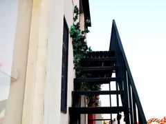 -北京东方普罗旺斯薰衣草庄园