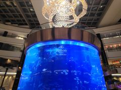 -OPEN開全日自助餐厅·西餐·海鲜(佛山希尔顿酒店)