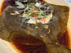 清蒸多宝鱼-碧丽宫大酒店(召稼楼店)
