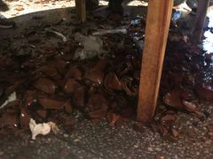 -巴人堂(女儿城店)