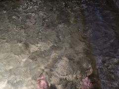 -明谷行馆·温泉