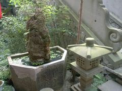 -鱼桥巷·美学川菜