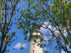 -金海湾滨江公园