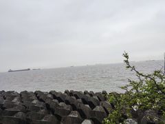 -上海滨江森林公园