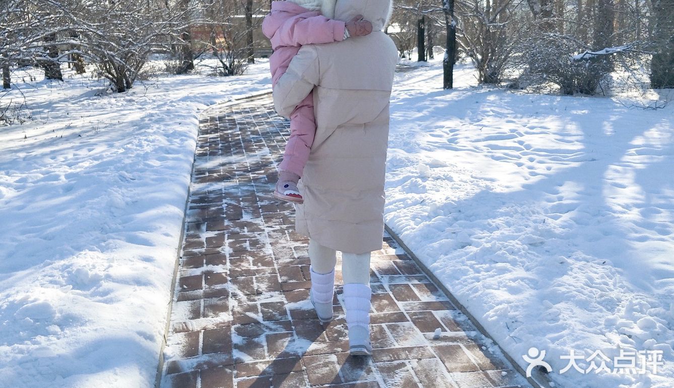 冬天来东北玩雪