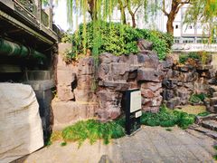 -运河游船(武林门码头)