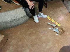 -逃脱反斗城沉浸剧情密室(北京路店)