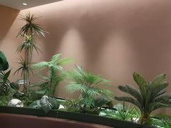 -奈雪的茶(广州万菱汇PRO店)