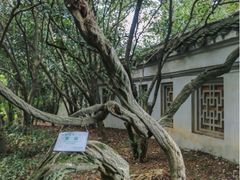 -无锡梅园公园