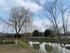 -径山花海