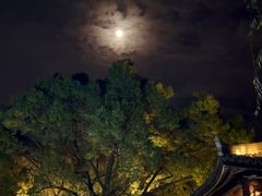 -柳莺湖上·湖景餐厅·江南菜(西湖店)