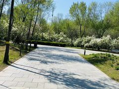 -群力丁香公园