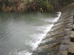 -桤木河湿地公园