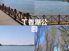 -丁香湖公园