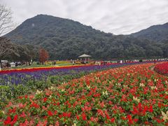 -广州市石门国家森林公园