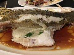 -圣丰索菲特·2 On 988 Café 自助餐厅