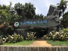 -苍山感通索道