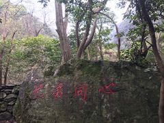 -梵尼斯足道·SPA养生馆(贝村精品店)