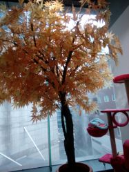 -M Hair造型