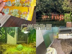 -广州动物园