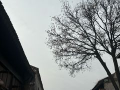 -韩城古城