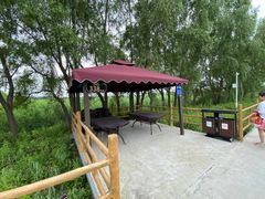 -白渔泡湿地公园