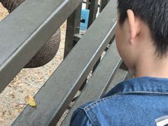 -野象谷景区