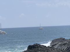 -西归浦每天偶来市场