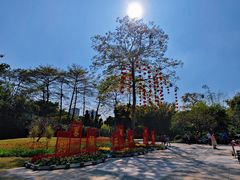 -晓港公园
