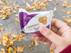 鲜葱酥-北京稻香村(学清店)