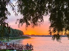 -丁香湖公园