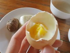 -天芳悦潭度假村温泉