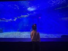 -太平洋海底世界